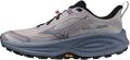 Mizuno Hardloopschoenen dames Neo Daichi - Grijs