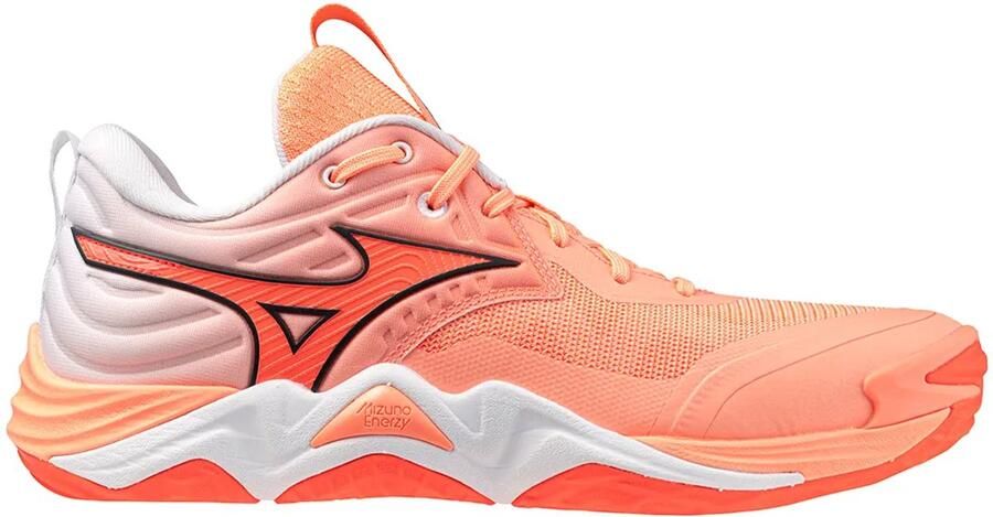 Mizuno Indoor schoenen Wave Mo tum Elite