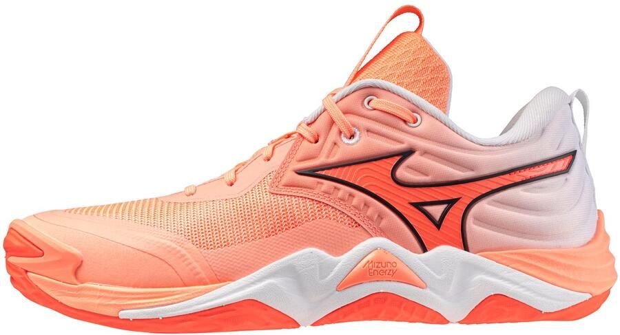 Mizuno Indoor schoenen Wave Mo tum Elite