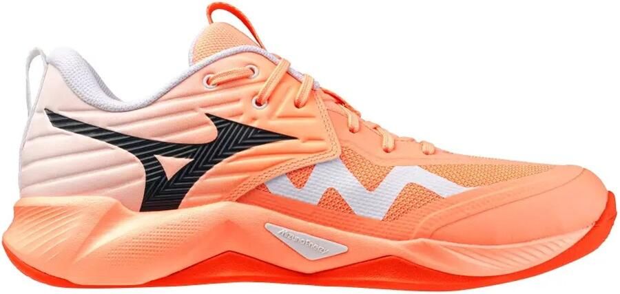 Mizuno Indoor schoenen Wave Mo tum Pro
