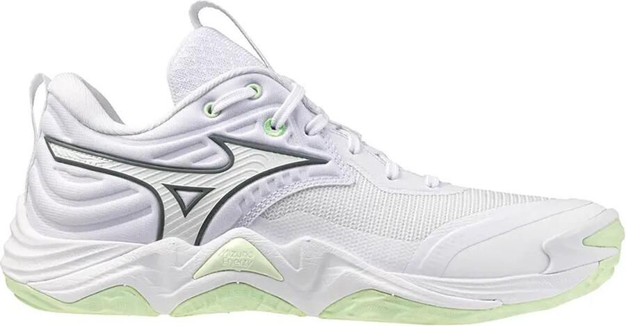 Mizuno Indoorschoenen voor dames Wave Momentum Elite