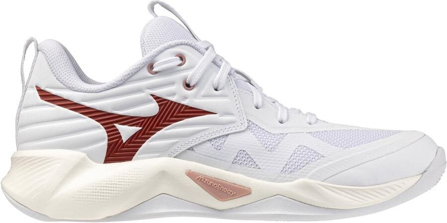 Mizuno Indoorschoenen voor dames Wave Momentum Pro