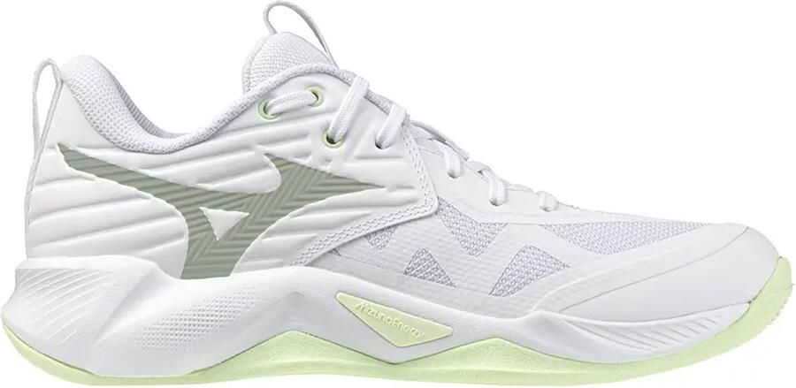 Mizuno Indoorschoenen voor dames Wave Momentum Pro