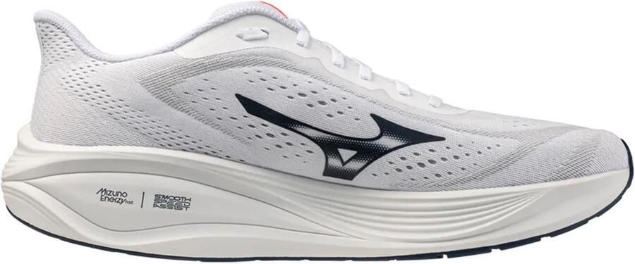 Mizuno Neo Daichi 10 Gore-tex Trailschoenen Wit 1 2 Man