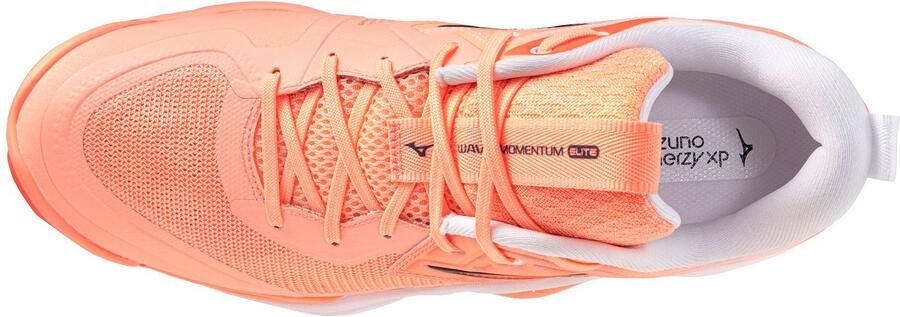 Mizuno Shoe Wave Mo tum Elite Volleybalschoen Sportswear Volwassen