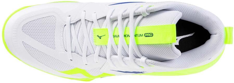 Mizuno Volleybalscheenen Shoe Wave Momentum Pro Mid Sportswear Volwassen