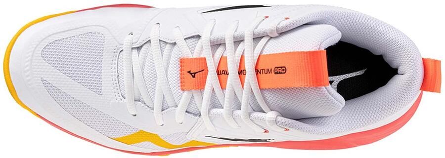 Mizuno Volleyschoenen Schoen Wave Momentum Pro Mid Sportswear Volwassen
