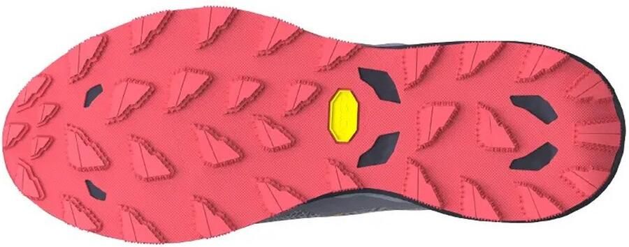 Mizuno Wave Daichi 9 W Hardloopschoenen