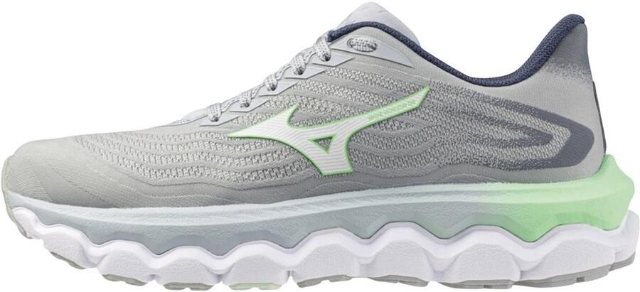 Mizuno Wave Horizon 8 Hardloopschoenen Dames