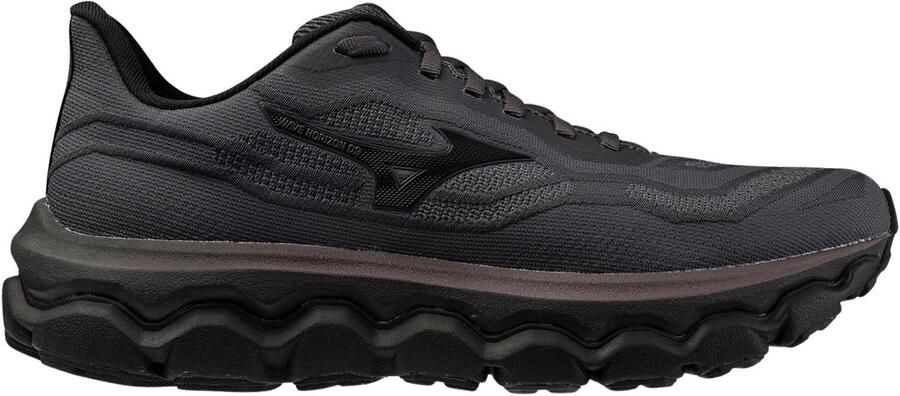 Mizuno Wave Horizon 9 Hardloopschoenen Heren