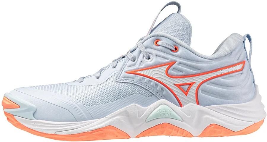 Mizuno Wave Momentum Elite Indoor Sportschoenen Voor Dames Blauw Vrouw
