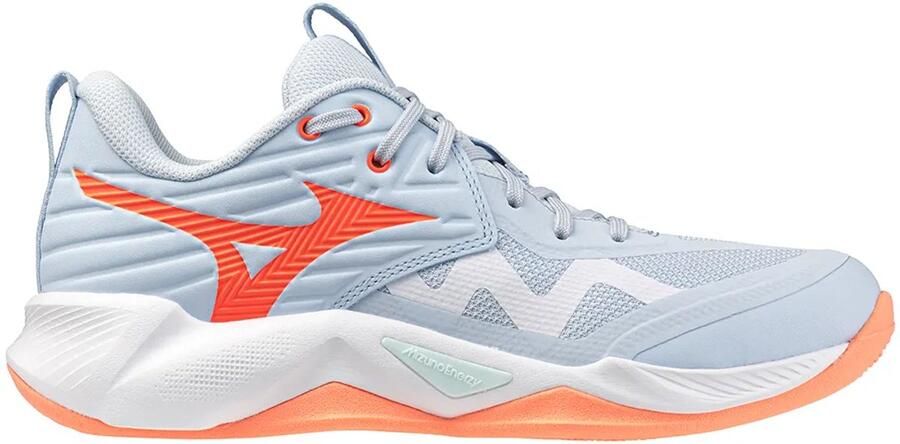 Mizuno Wave Momentum Pro Indoor Sportschoenen Voor Dames Blauw 1 2 Vrouw