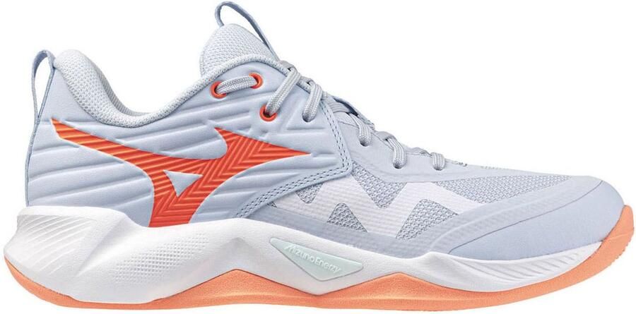 Mizuno Indoorschoenen voor dames Wave Momentum Pro