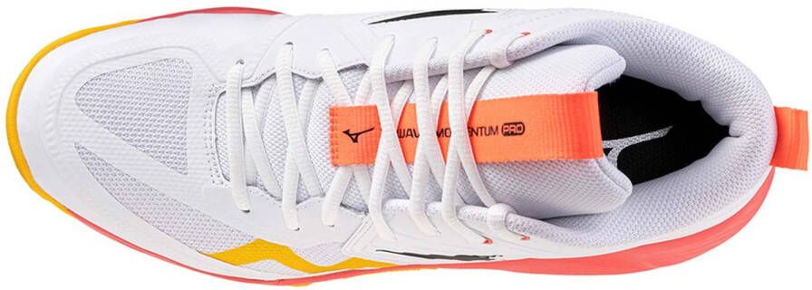 Mizuno Volleyschoenen Schoen Wave Momentum Pro Mid Sportwear Volwassen