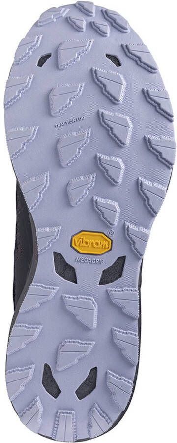 Mizuno Wave Daichi 9 Gtx Trailschoenen Blauw 1 2 Man
