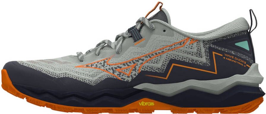 Mizuno Wave Daichi 9 Trailschoenen Grijs Man