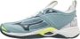 Mizuno Wave MoHerentum 2 Sportschoenen Volleybal Indoor grijs - Thumbnail 1