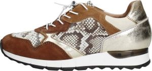 Mjus Dames sneakers Laag cognac