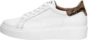 Mjus Dames sneakers Veterschoenen Laag wit