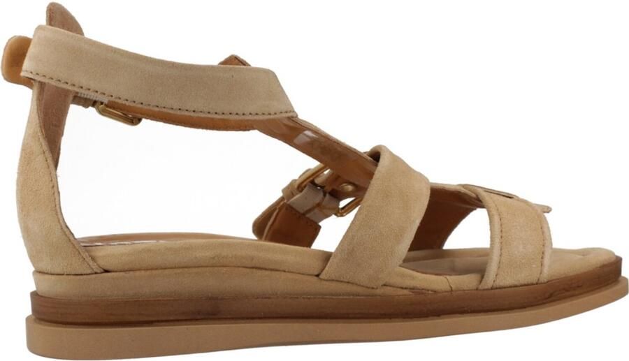 Mjus N14006 Bruin