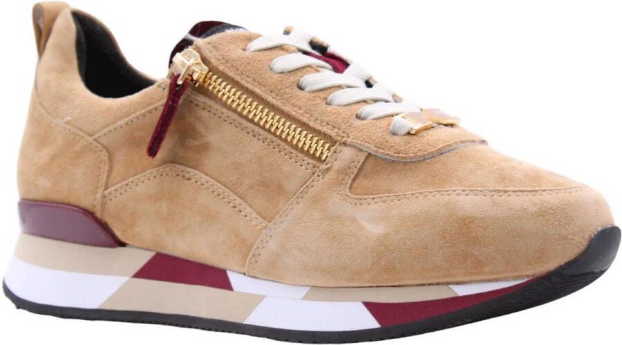 Nathan-Baume Comfortabele Trendy Sneakers voor Vrouwen Beige Dames - Foto 2