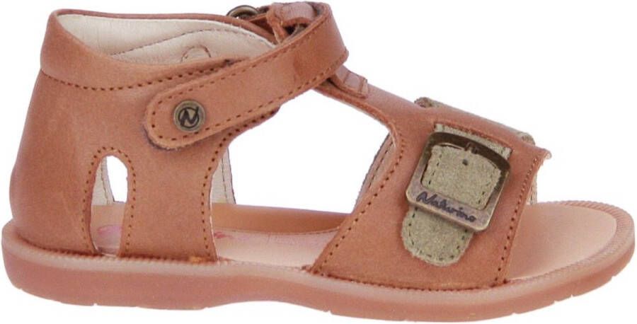Naturino schoenen Quarzo Z21 Bruin Heren