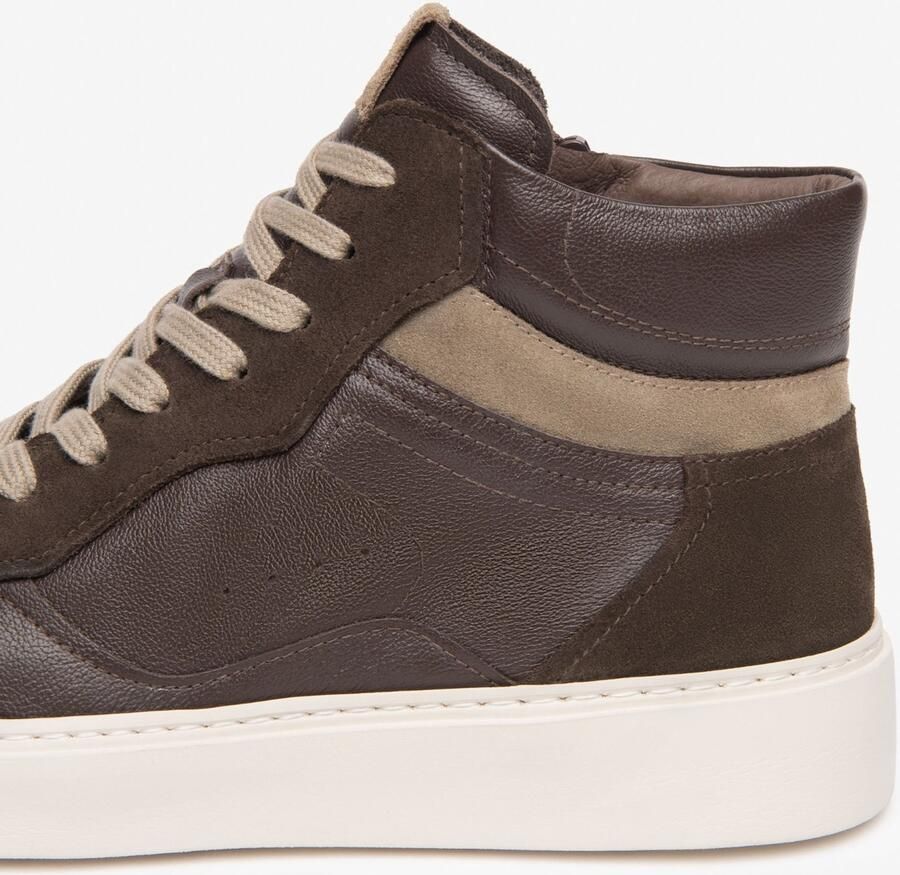 NeroGiardini Sneaker Arold Colo Perseo Arold Velo Taupe Eva Rodero Fashion Wear Volwassen