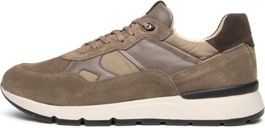 NeroGiardini Sneaker Arold Colo T.Zoro Sauvage Taupe Arold Colo Fashion Wear Volwassen