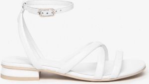 Nero Giardini witte sandalen E307580D 707 loira bianco