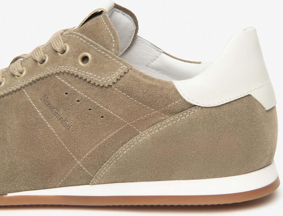 NeroGiardini Arold Velo Sparta Osso Tr Chiasso 8264 Miel Sneaker Fashion Wear Volwassen