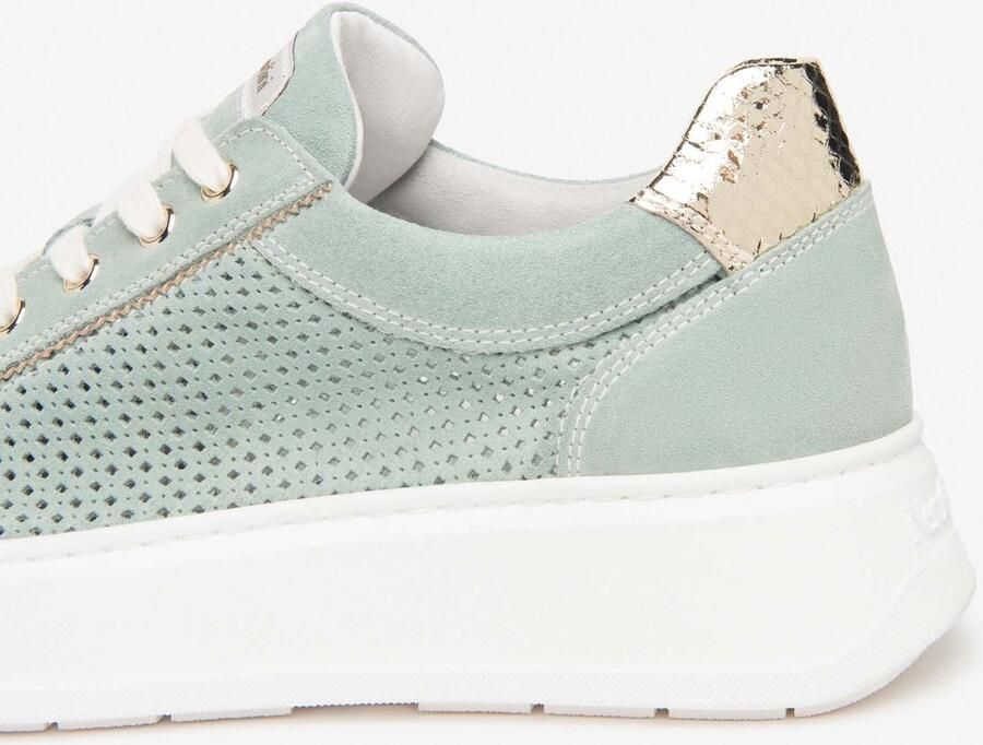 NeroGiardini Sneaker Velour Blade Platino T.Brill Platin Fashion Wear Vrouwen