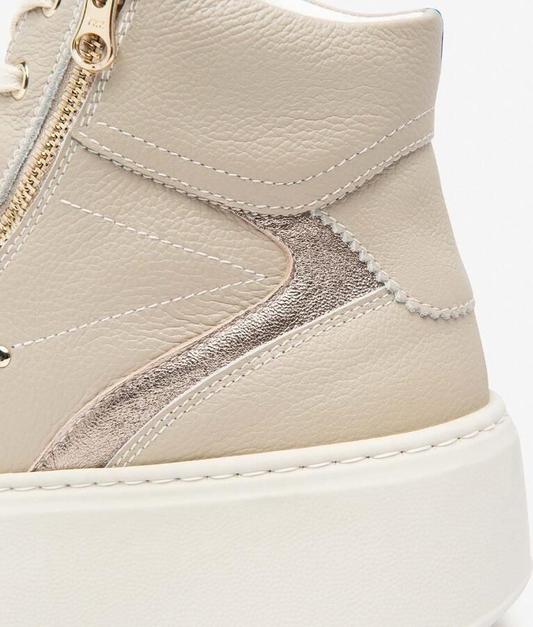 NeroGiardini Sneakers Cairo Etoile Leo Pu.Guatemala L17682 Streetwear Vrouwen