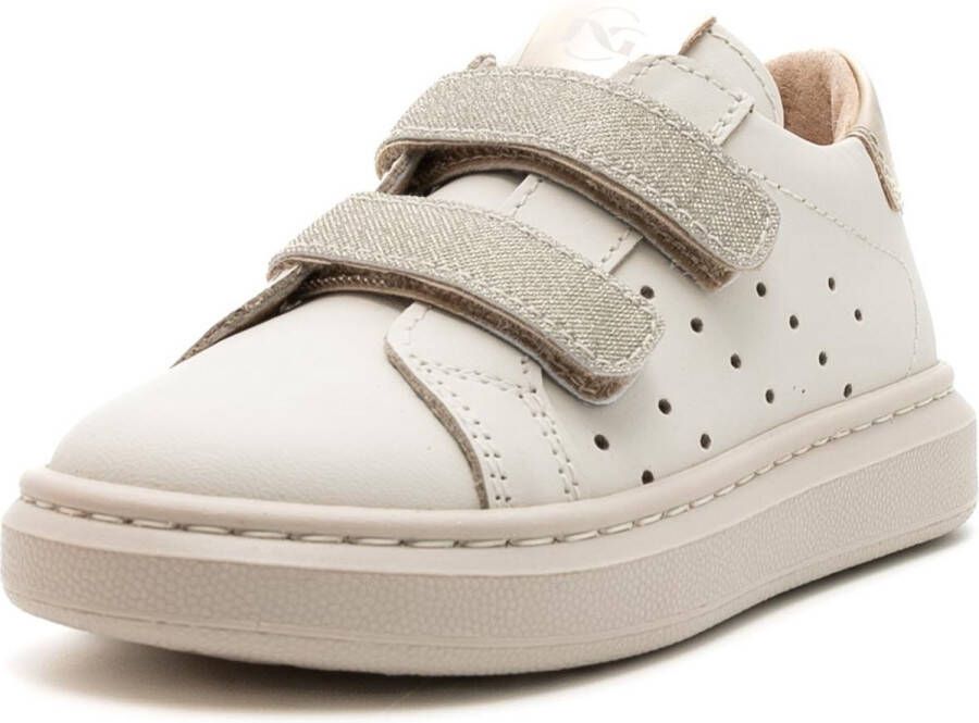 NeroGiardini Sneakers Porto Osso T.Microglitter Plati T.Brill Platino Tr Streetwear Kind