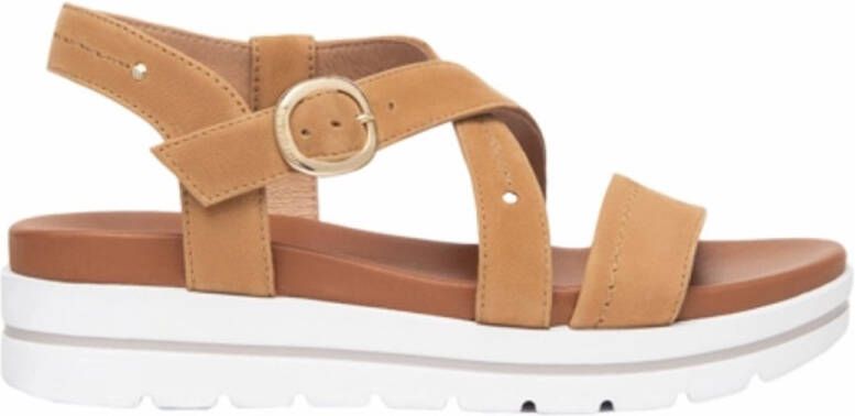 NeroGiardini Women E410720D Sigaro