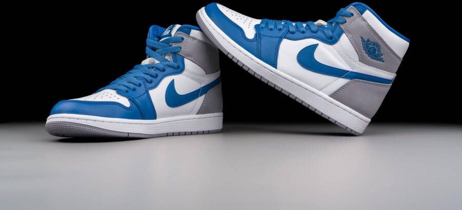 Nike Air Jordan 1 Retro High OG True Blue DZ5485-410 BLAUW Schoenen