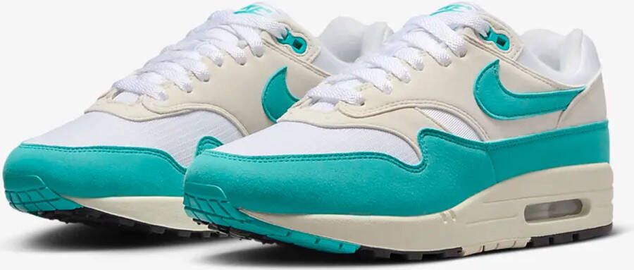 Nike Air Max 1 (Dusty Cactus) Unisex
