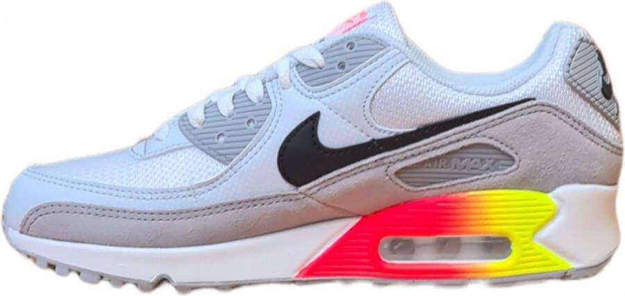 Nike Air Max 90 Air Max Month Herenschoenen Grijs