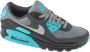 Nike Air Max 90 Dusty Cactus Sneaker Unisex Grijs Zwart Blauw - Thumbnail 1
