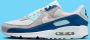 Nike Herenschoenen Air Max 90 Pure Platinum Glacier Blue Court Blue White- Heren Pure Platinum Glacier Blue Court Blue White - Thumbnail 10