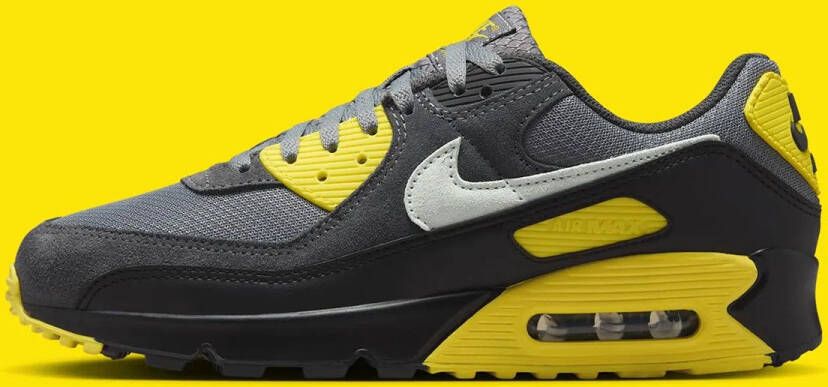Nike Air Max 90 Grijs