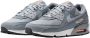 Nike Herenschoenen Air Max 90 Cool Grey Black Sundial Wolf Grey- Heren Cool Grey Black Sundial Wolf Grey - Thumbnail 1