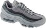 Nike Herenschoenen Air Max 95 Light Smoke Grey- Heren Light Smoke Grey - Thumbnail 1