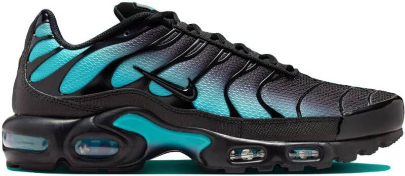 Nike Air Max Plus Black Dusty Cactus )
