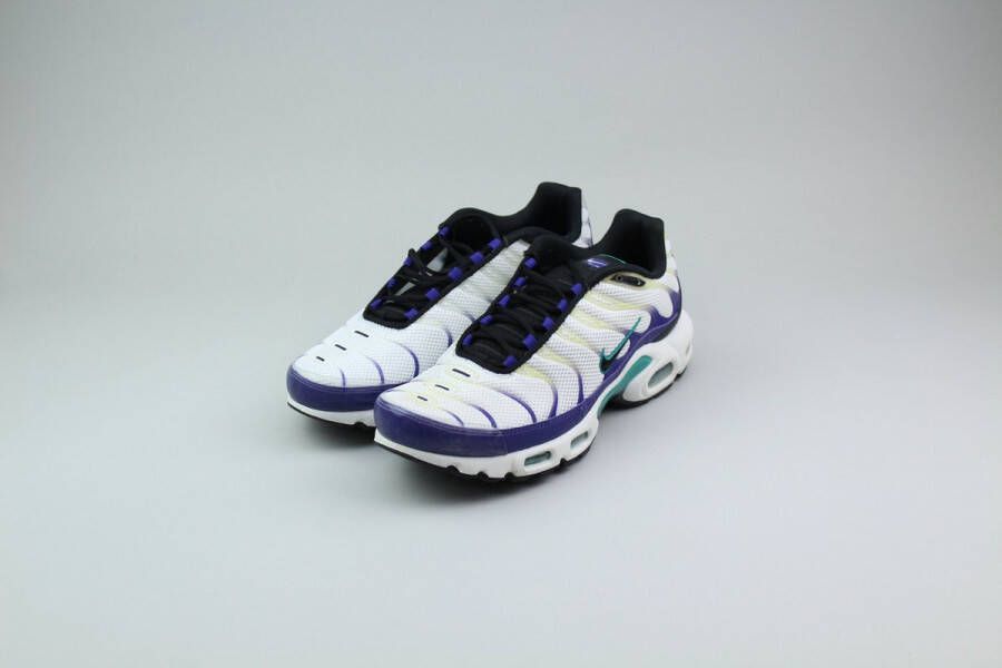 Nike Air Max Plus White Grape Ice