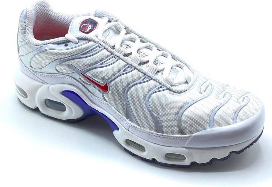 Nike air max plus gs