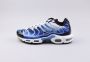 Nike Air Max Plus TN OG Light Photography Heren Sneakers Vrijetijdsschoenen Schoenen DZ3531 - Thumbnail 1