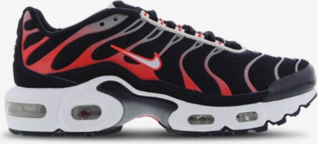 Nike Air Max Plus Sneakers CD0609