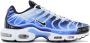 Nike Air Max Plus TN OG Light Photography Heren Sneakers Vrijetijdsschoenen Schoenen DZ3531 - Thumbnail 1