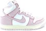 Nike Roze Sneakers met Stoffen en Leren Bovenkant Pink Unisex - Thumbnail 1