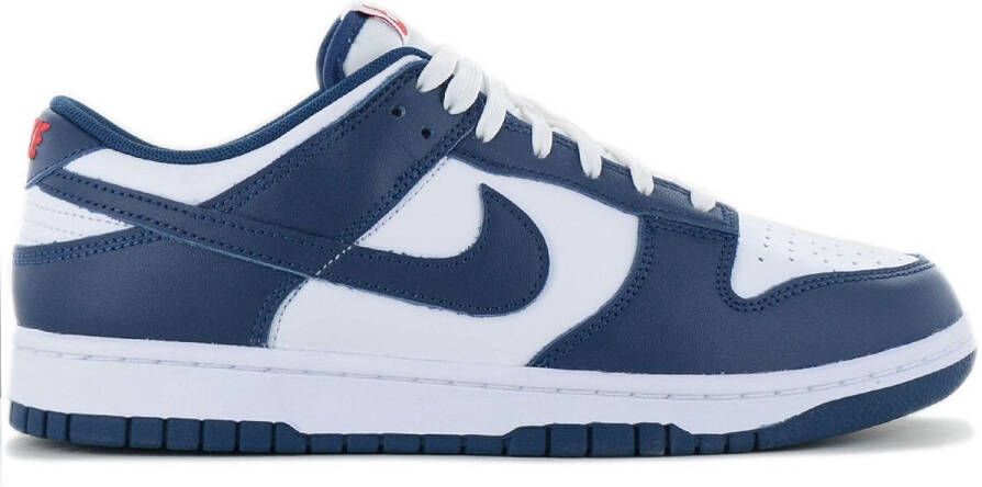 Nike Dunk Low Retro Sneakers Schoenen Leer Blauw-Wit DD1391